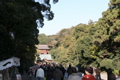 IMG_9120.JPG