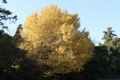 IMG_9091.JPG