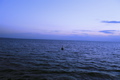 IMG_0470.JPG