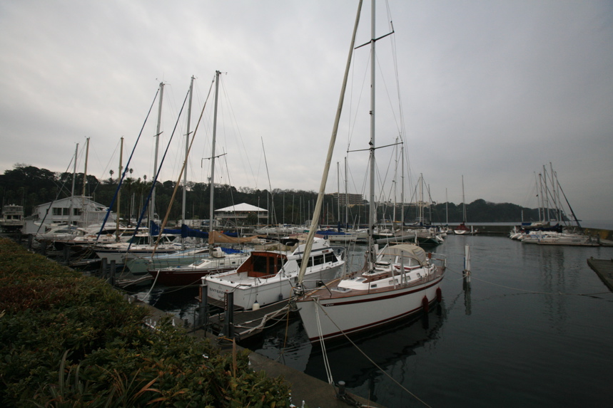 IMG_0734.JPG
