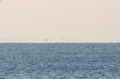 IMG_1065.JPG