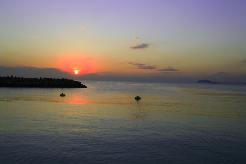 IMG_1372.JPG