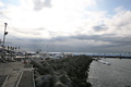 IMG_1519.JPG