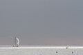 IMG_1545.JPG
