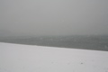 IMG_1667.JPG