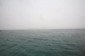 IMG_1703.JPG