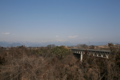 IMG_3706.JPG
