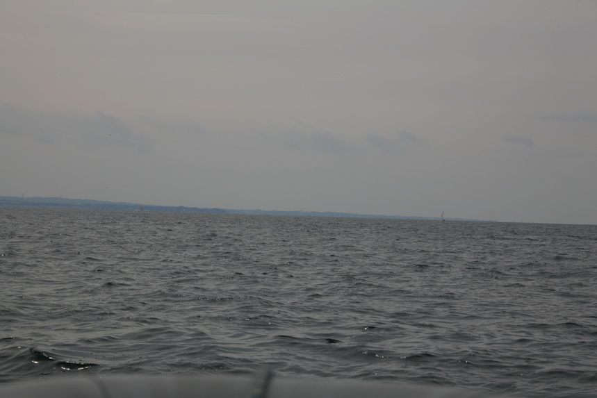IMG_4379.JPG