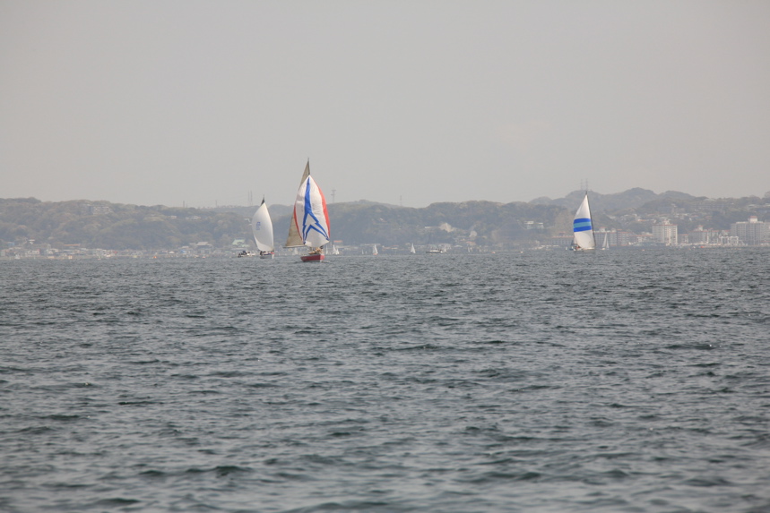 IMG_4845.JPG