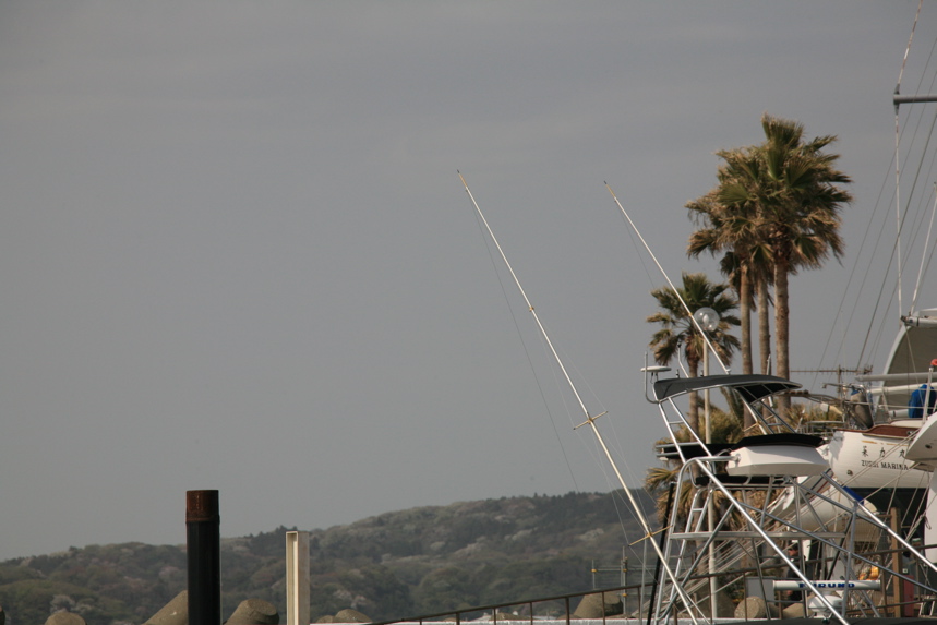 IMG_4855.JPG