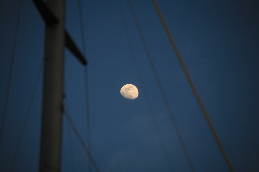 IMG_4904.JPG