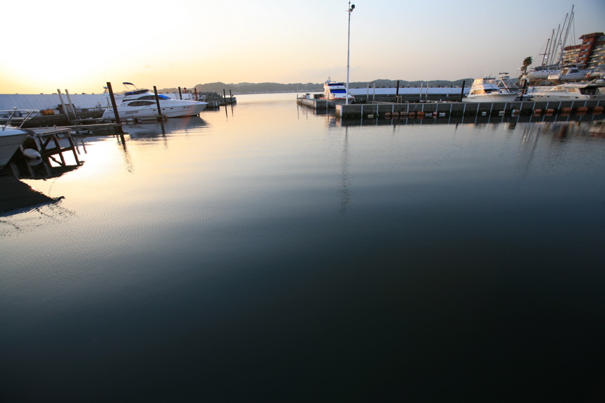 IMG_5154.JPG