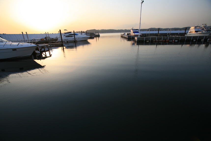 IMG_5155.JPG