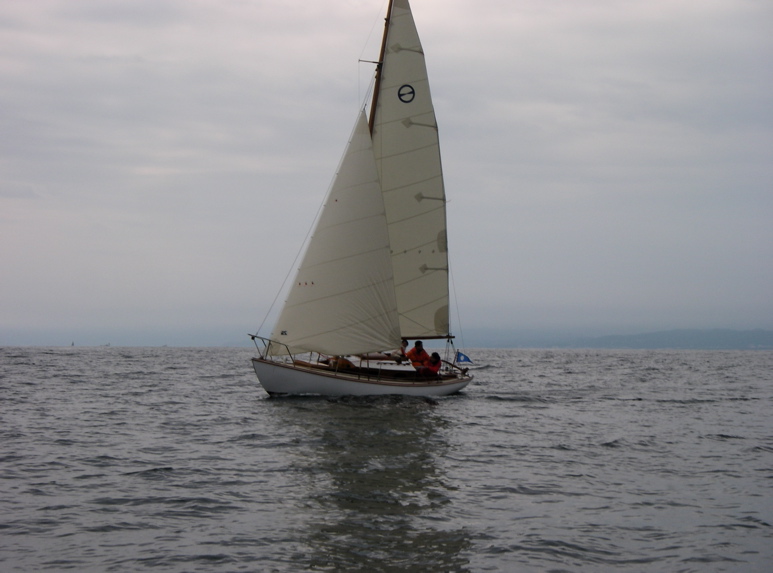 IMGP0441.JPG