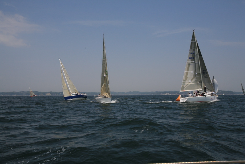 IMG_5962.JPG