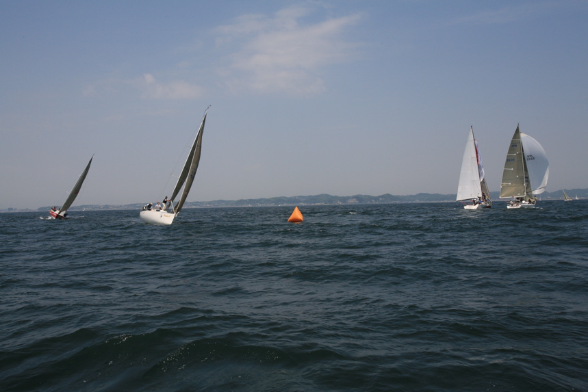 IMG_5973.JPG