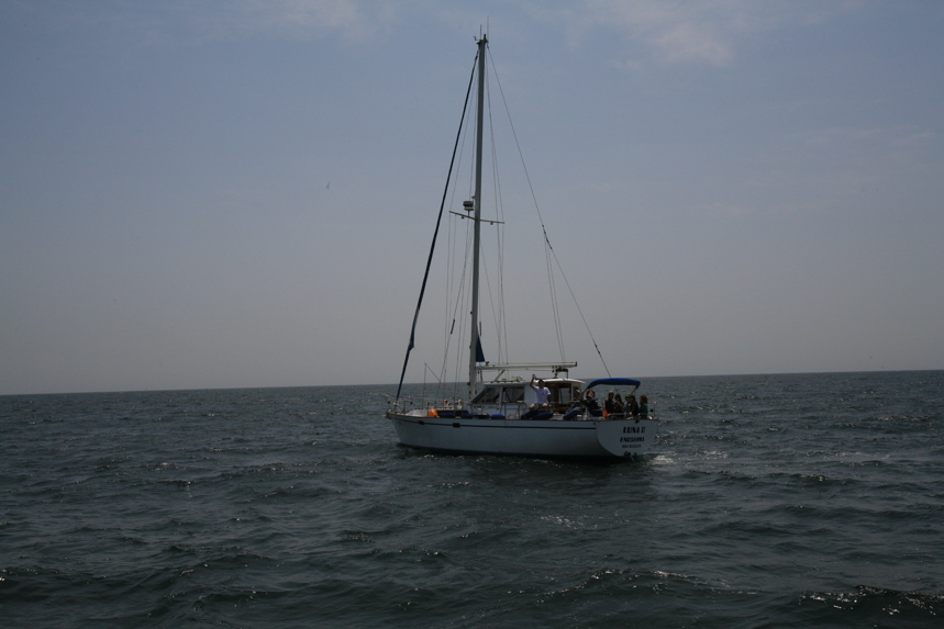 IMG_5985.JPG