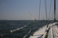 IMG_5948.JPG