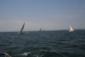 IMG_5990.JPG