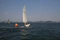 IMG_6003.JPG