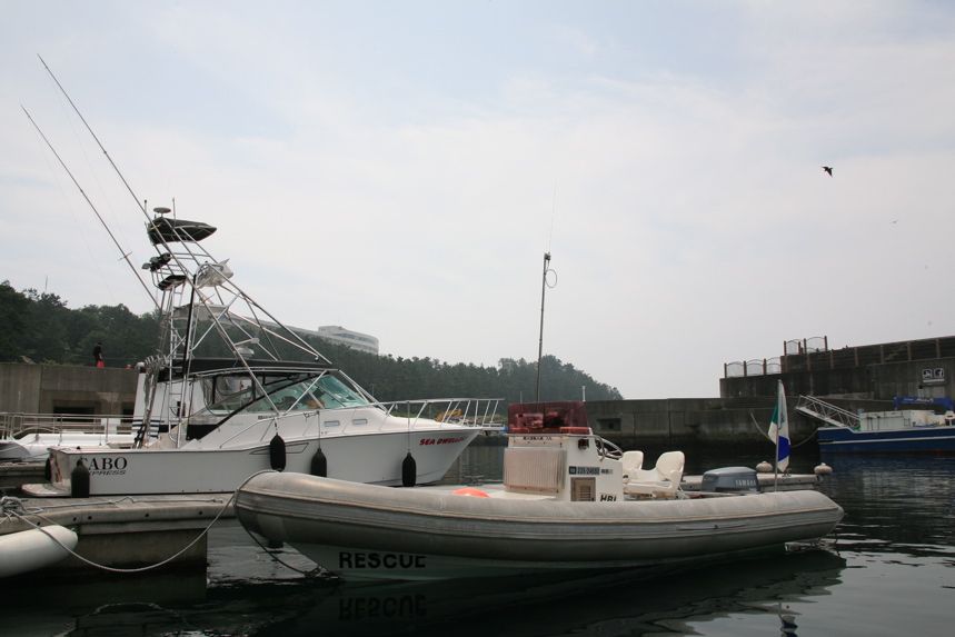 IMG_7743.JPG