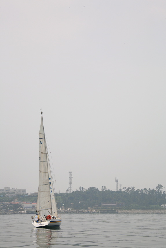 IMG_7767.JPG