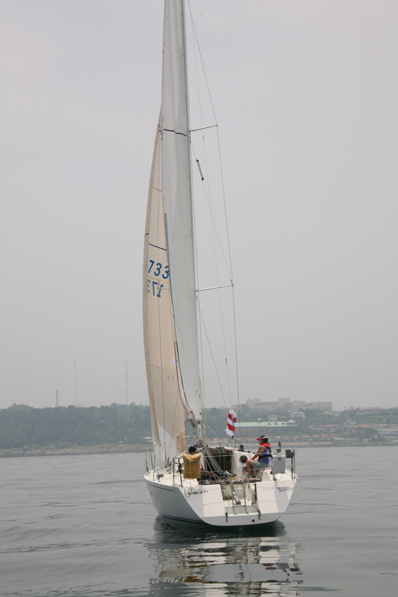 IMG_7774.JPG