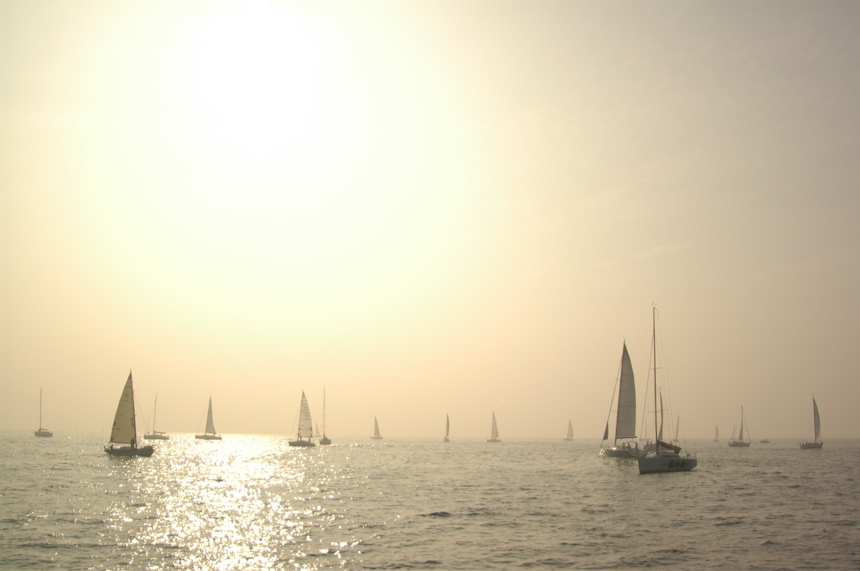 DSC_0439.JPG