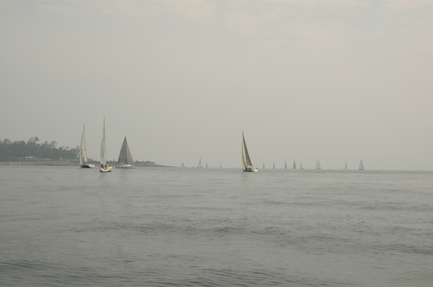 DSC_0800.JPG