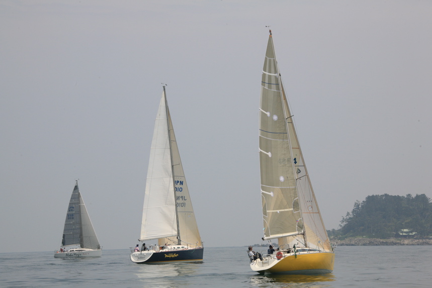 IMG_7950.JPG