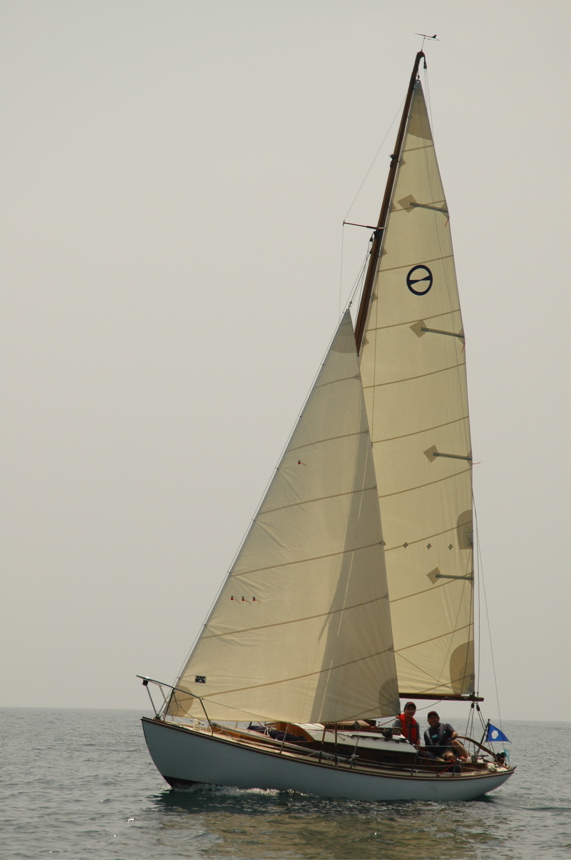DSC_0803.JPG