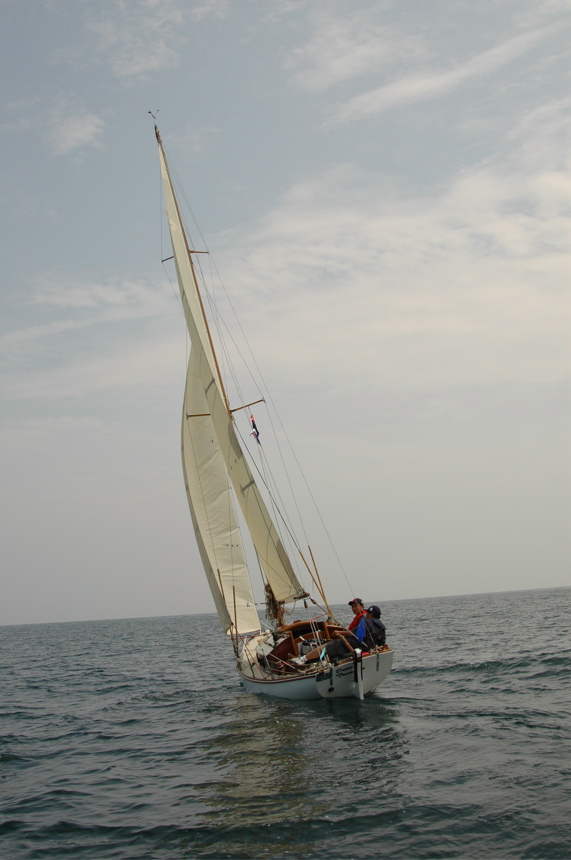 DSC_0805.JPG