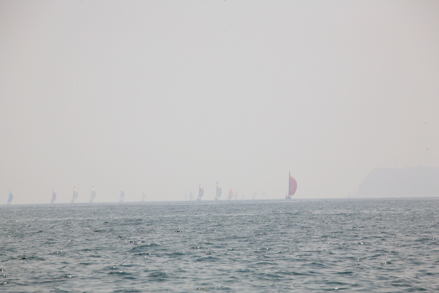 IMG_7984.JPG