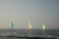 DSC_0460.JPG