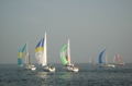 DSC_0479.JPG