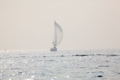 IMG_7674.JPG