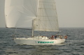 DSC_0566.JPG