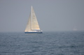 IMG_9911.JPG