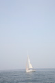 IMG_7736.JPG
