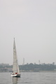 IMG_7767.JPG