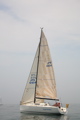 IMG_7781.JPG
