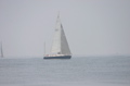 IMG_9923.JPG