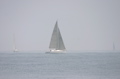 IMG_9924.JPG