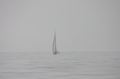 IMG_9927.JPG