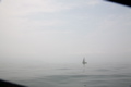 IMG_7840.JPG