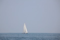 IMG_7982.JPG