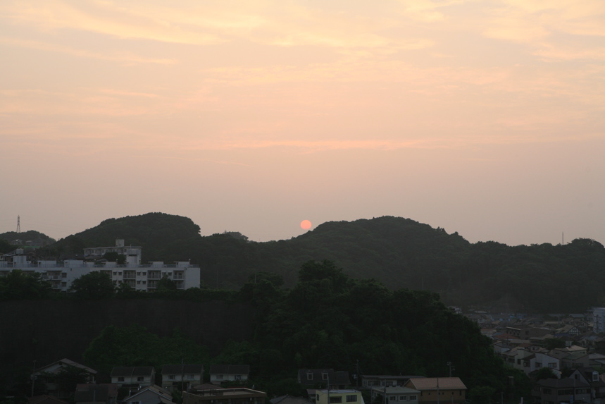 IMG_8185.JPG