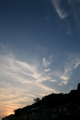 IMG_8173.JPG