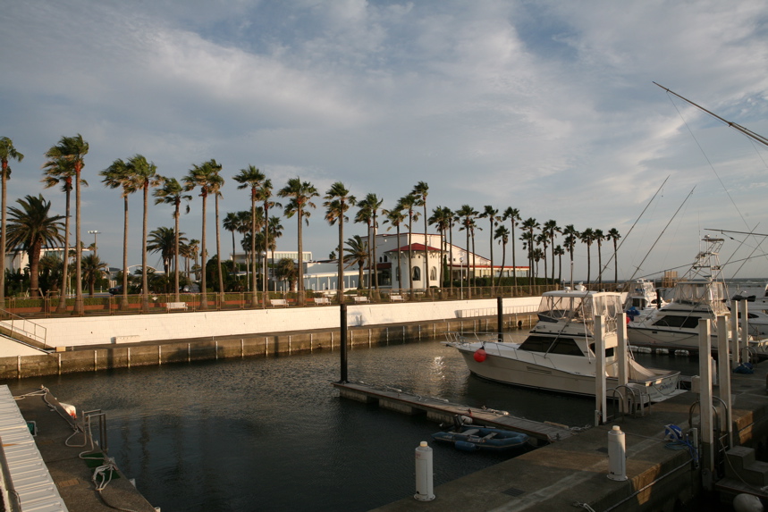 IMG_8305.JPG