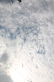 IMG_8274.JPG